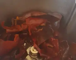 Step <p>Echa 200 g de aceite de oliva en el vaso y programa 5 minutos/120°/vel.1.Cuando la temperatura suba a 60° añade los trozos de ñoras por el vocal.</p><p><br></p><p><br></p><p><br></p> illustration