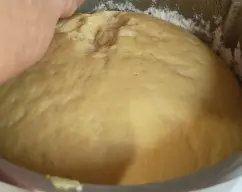 Step <p>Una hora después la tenéis con el doble de volumen gracias al modo Fermentar.</p><p>Esto nos facilitará muchísimo el hacer nuestro roscón de Reyes.</p> illustration